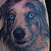 Tattoos - Dog Portrait  - 75747